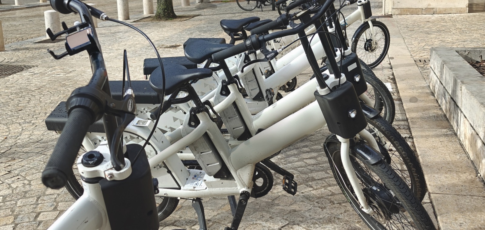 Mobilités durables : comment orchestrer les vélos en free-floating et en LLD sur un territoire ?